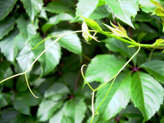 Similar image 21772549