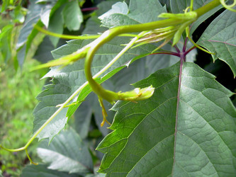 Similar image 21772551