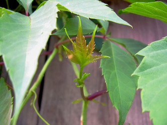 Similar image 21772552