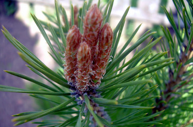 Similar image 21772553