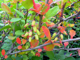 Similar image 21772556