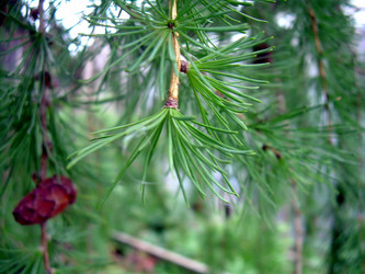 Similar image 21772557