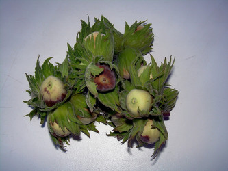 Similar image 21772558