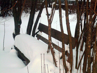 Similar image 21772559