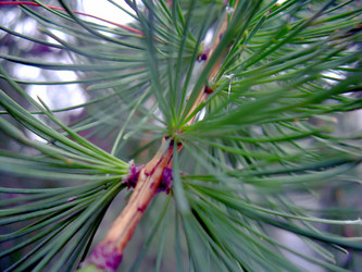 Similar image 21772560