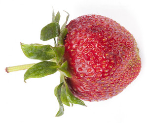 Similar image 21772312