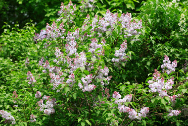 Similar image 21772320