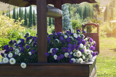 Similar image 21773117