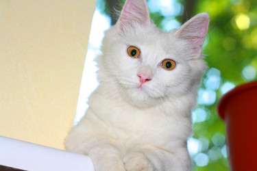 Similar image 21773118