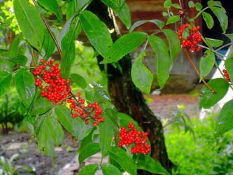 Similar image 21772561