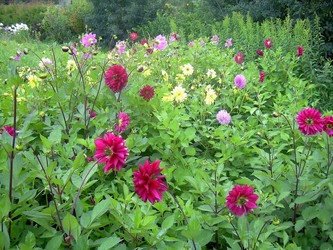 Similar image 21772565