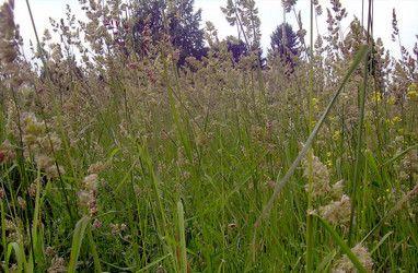 Similar image 21772569