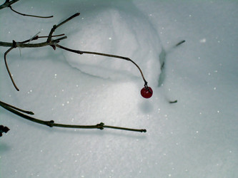 Similar image 21772570