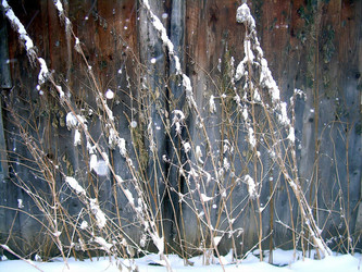 Similar image 21772571