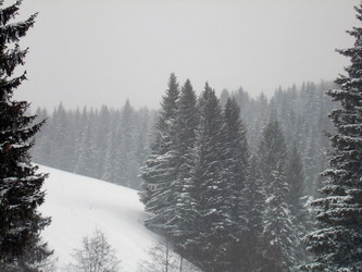 Similar image 21772572