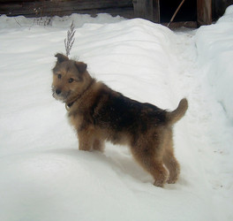 Similar image 21772573