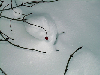 Similar image 21772575