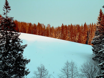 Similar image 21772576