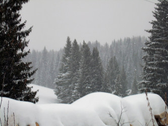 Similar image 21772577