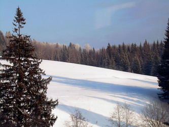 Similar image 21772578