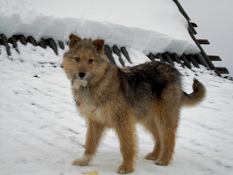 Similar image 21772579