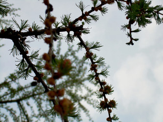 Similar image 21772582