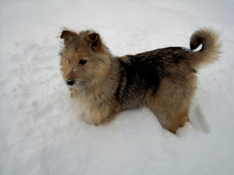 Similar image 21772583