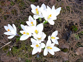 Similar image 21772584