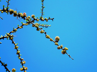 Similar image 21772585