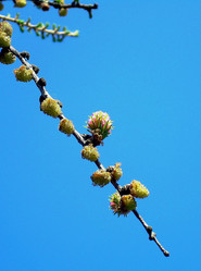 Similar image 21772587