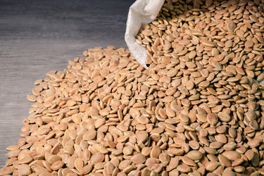 Similar image 21772787