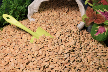 Similar image 21774188