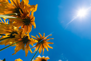 Similar image 21774189