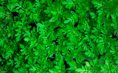 Similar image 21773127