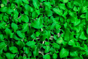 Similar image 21772790