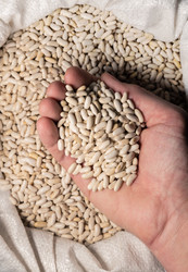 Similar image 21774194