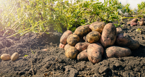 Similar image 21775148