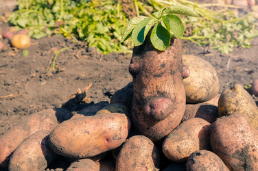 Similar image 21774195