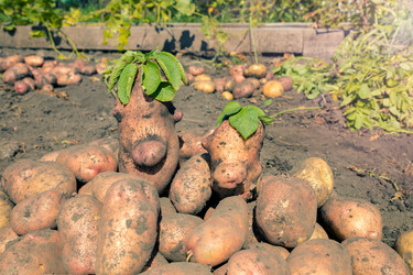 Similar image 21772791