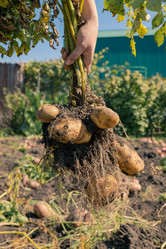 Similar image 21774196