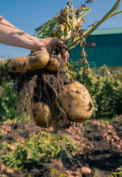 Similar image 21772792