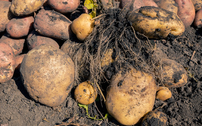 Similar image 21773133