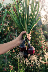 Similar image 21773137