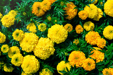 Similar image 21773138