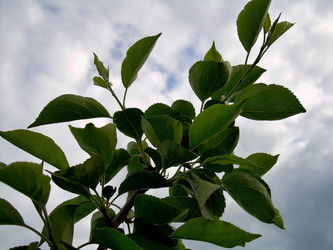 Similar image 21772588