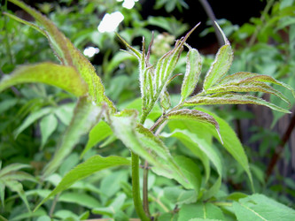 Similar image 21772589