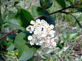 Similar image 21772590