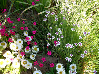 Similar image 21772591