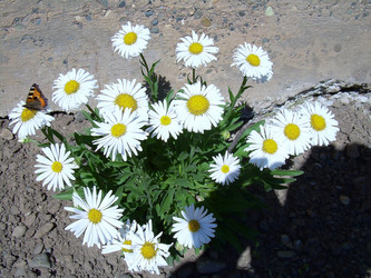 Similar image 21772592