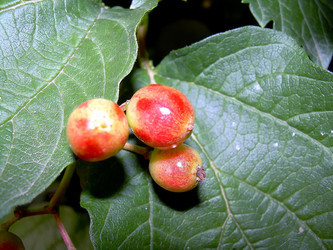 Similar image 21772599